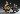 Default Thumbnail Image A