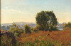 Default Thumbnail Image A