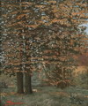 Default Thumbnail Image A