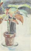 Default Thumbnail Image A