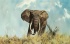Default Thumbnail Image A
