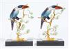 Default Thumbnail Image A
