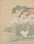 Default Thumbnail Image A