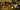 Default Thumbnail Image A