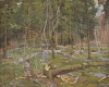 Default Thumbnail Image A