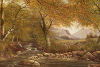 Default Thumbnail Image A