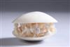 Default Thumbnail Image A