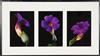 Default Thumbnail Image A