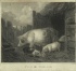Default Thumbnail Image A