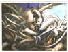 Default Thumbnail Image A