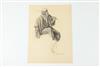 Default Thumbnail Image A
