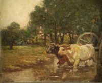 Default Thumbnail Image A