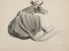 Default Thumbnail Image A