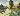 Default Thumbnail Image A
