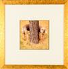 Default Thumbnail Image A