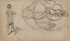 Default Thumbnail Image A