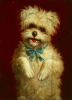 Default Thumbnail Image A