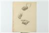 Default Thumbnail Image A