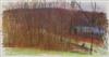 Default Thumbnail Image A