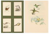 Default Thumbnail Image A