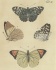 Default Thumbnail Image A