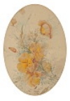 Default Thumbnail Image A