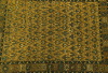 Default Thumbnail Image A