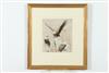 Default Thumbnail Image A