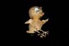 Default Thumbnail Image A