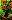 Default Thumbnail Image A