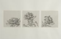 Default Thumbnail Image A