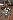 Default Thumbnail Image A