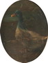 Default Thumbnail Image A