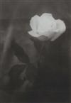Default Thumbnail Image A
