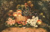 Default Thumbnail Image A