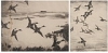 Default Thumbnail Image A