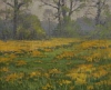 Default Thumbnail Image A