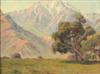Default Thumbnail Image A