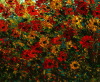 Default Thumbnail Image A
