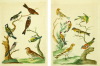 Default Thumbnail Image A