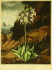 Default Thumbnail Image A