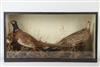 Default Thumbnail Image A