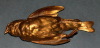 Default Thumbnail Image A