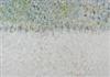 Default Thumbnail Image A