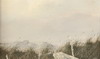 Default Thumbnail Image A