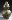 Default Thumbnail Image A