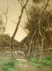 Default Thumbnail Image A