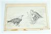 Default Thumbnail Image A
