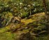 Default Thumbnail Image A