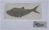 Default Thumbnail Image A